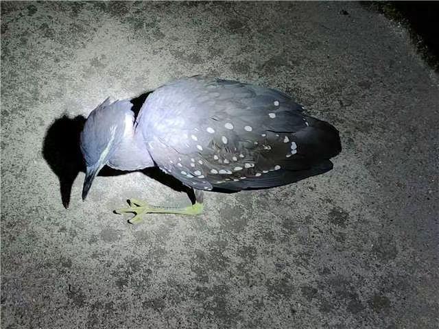 海南深度之旅,热带风情中的体验与感悟