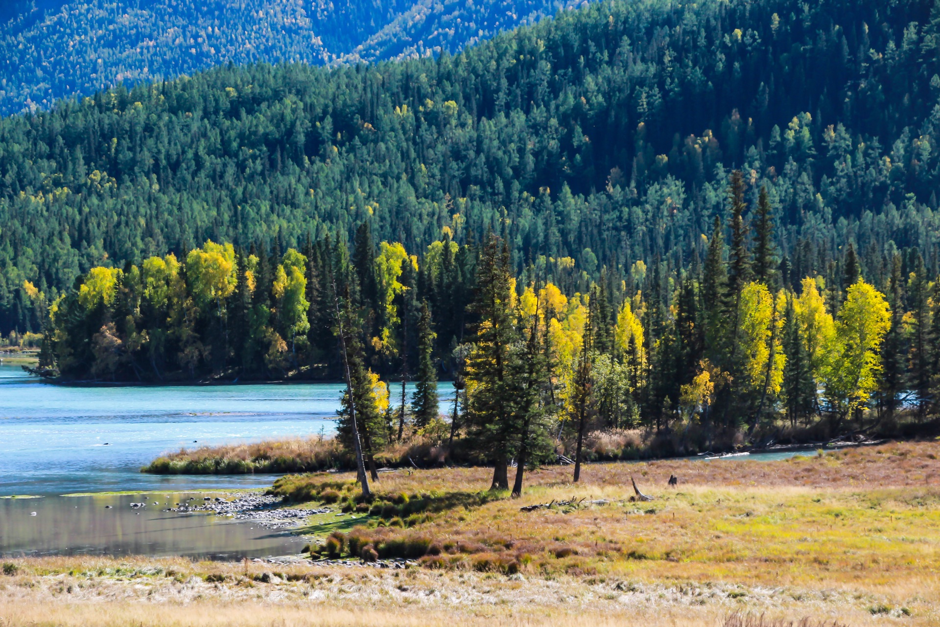 新疆,向尊敬的听众朋友们致意