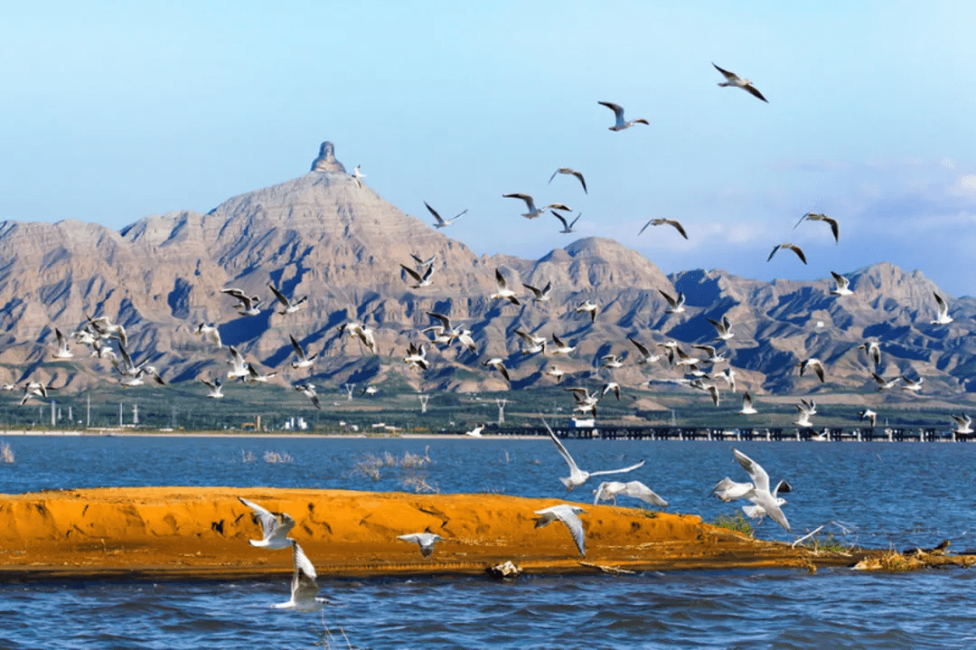 乌海之韵,城市魅力探秘