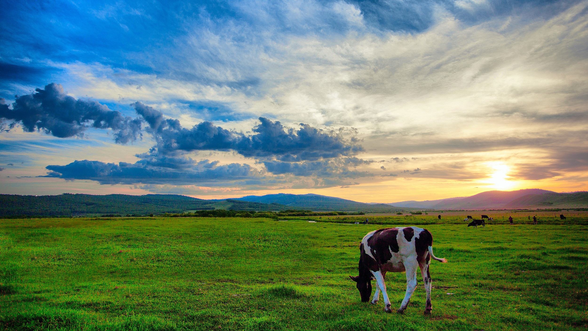 呼伦贝尔,草原之韵与生态之旅的探索