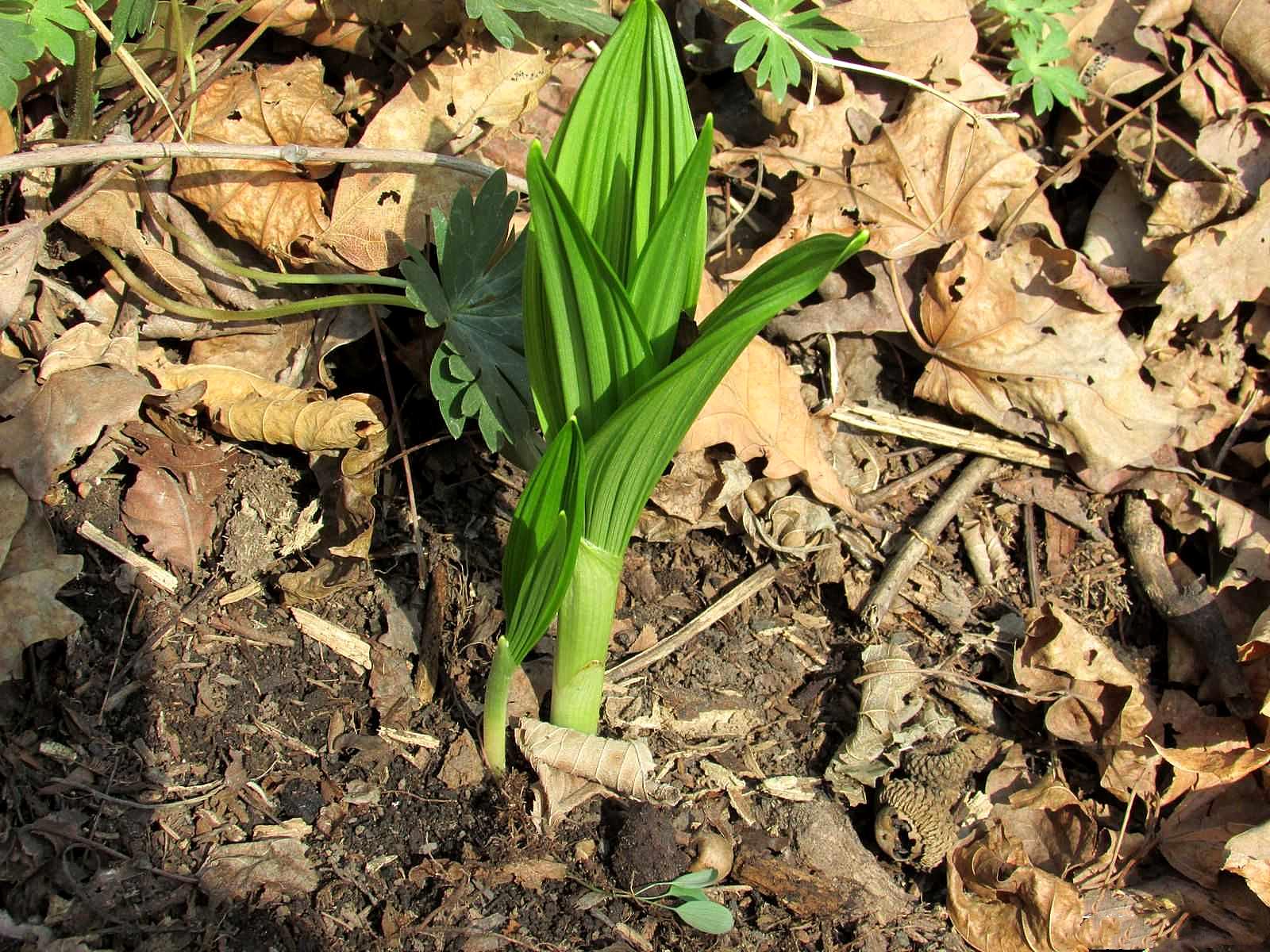 本溪,暖阳下的友情时光