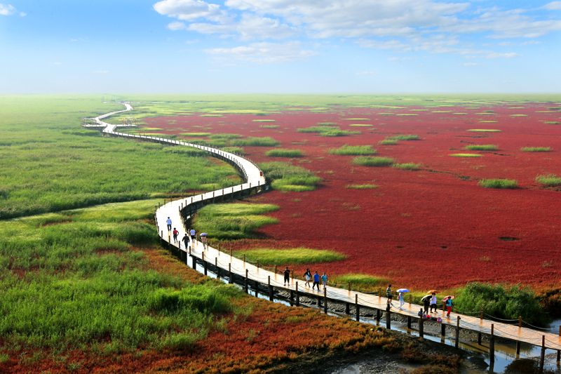 盘锦暖阳下的友情时光